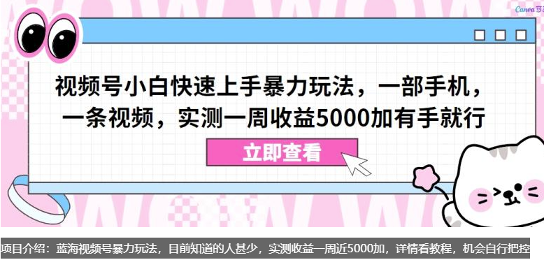 图片[1]-视频号小白快速上手暴力玩法，一部手机，一条视频，实测一周收益5000加有手就行【揭秘】